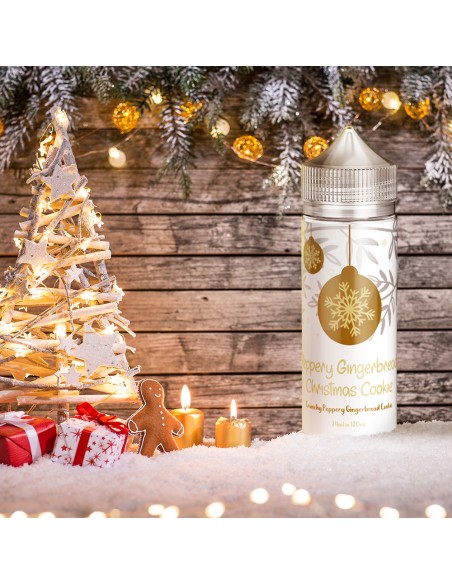 JOURNEY AROMA CHRISTMAS MIX - PEPPERY GINGERBREAD 24/120 ml