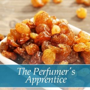 1526 TPA AROMA RAISIN 10 ml F 1.jpg