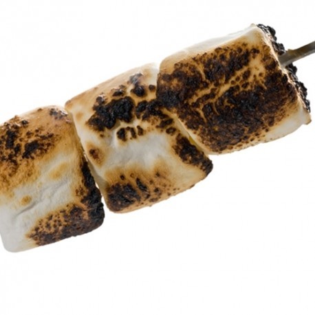 1957 TPA AROMA TOASTED MARSHMALLOW 10 ml 1.jpg
