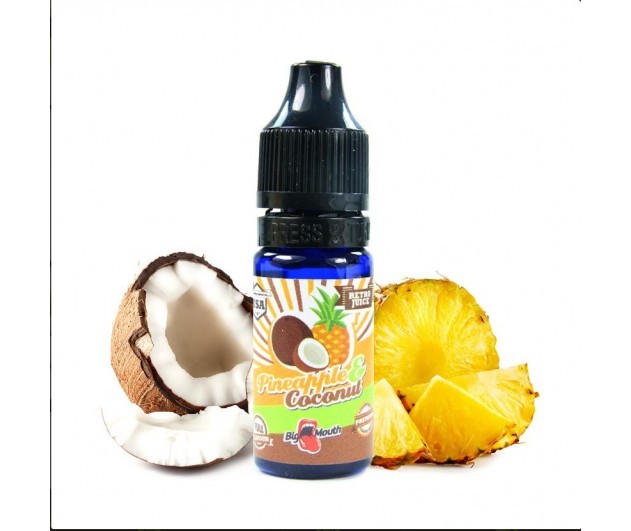2210 BIG MOUTH RETRO JUICE PINEAPPLE COCONUT 10 ml 1.jpg
