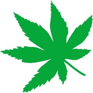 234 TPA AROMA MARY JANE 10 ml 1.jpg
