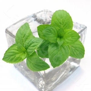 276 TPA AROMA MENTHOL LIQUID 10 ml 1.jpg