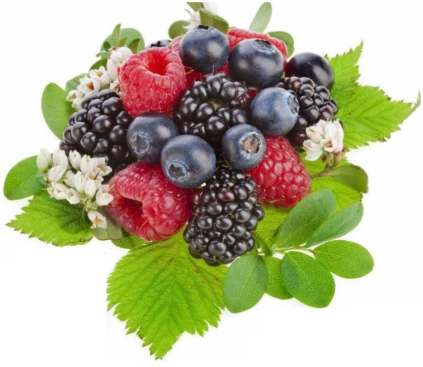 2819 INAWERA AROMA JUST BERRY 10 ml 1.jpg