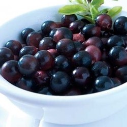 285 TPA AROMA ACAI 10 ml 1.jpg