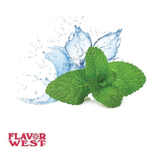 5894 FLAVOR WEST AROMA Kool Effects 10ml 1.jpg