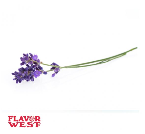 5895 FLAVOR WEST AROMA Lavender 10ml 1.jpg