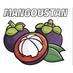mangoustan 1.jpg