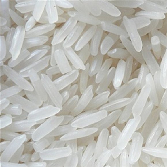vt ricebase 1.jpg